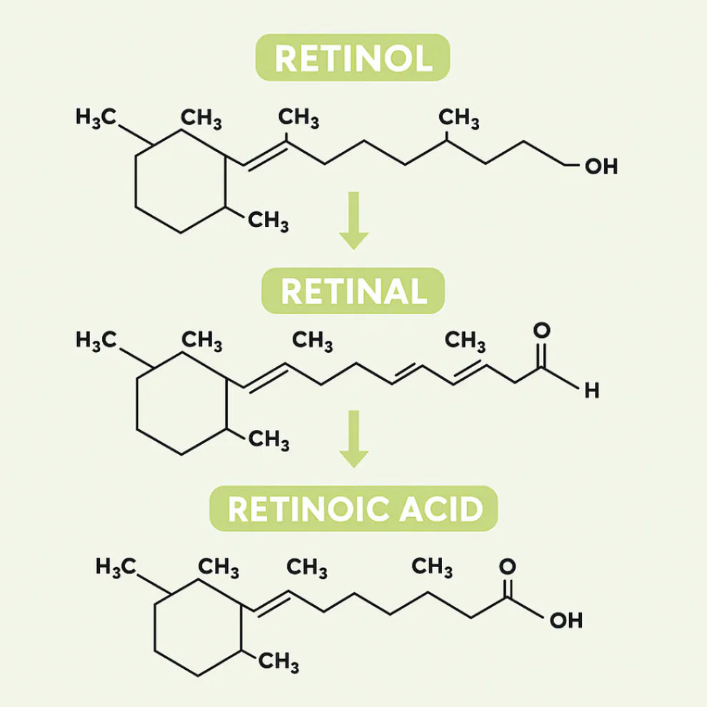 Celimax Retinal Shot® - Elimina Arrugas e Ilumina tu Rostro