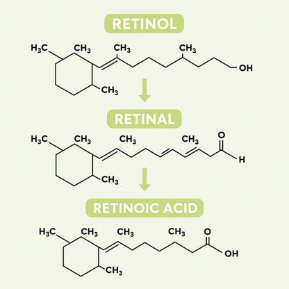 Celimax Retinal Shot® - Elimina Arrugas e Ilumina tu Rostro