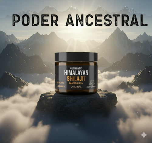 SHILAJIT DEL HIMALAYA PREMIÚM X LEBELLE